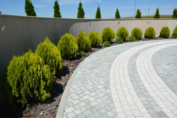 Best Driveway Pavers Near Me  in Bridge City, LA